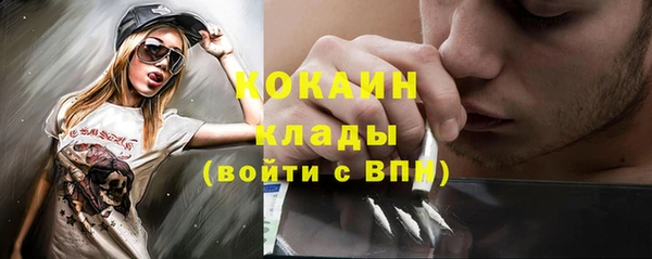 дживик Абинск