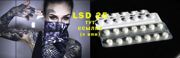 дживик Абинск