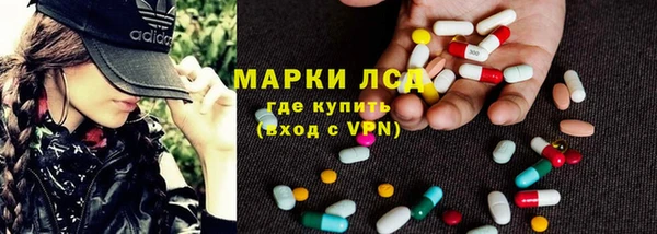 крисы Абаза