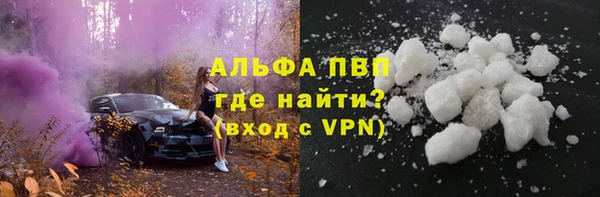 крисы Абаза