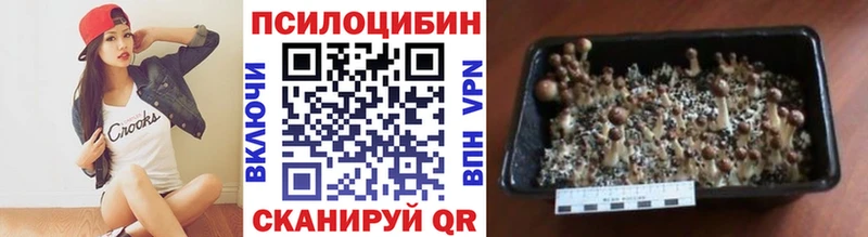 продажа наркотиков  Богородицк  Галлюциногенные грибы прущие грибы 
